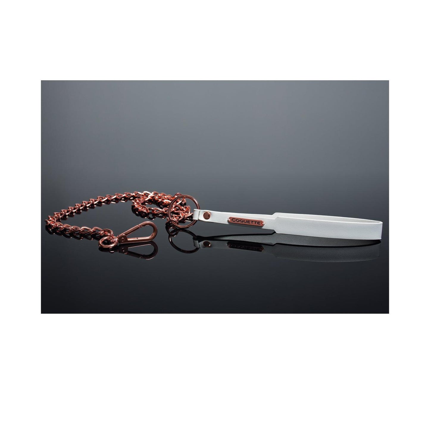 Pleasure Collection Leash