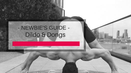 Newbie's Dildo Guide