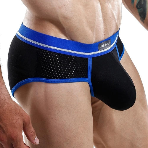 Hung Brief