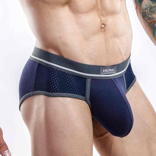 Hung Brief