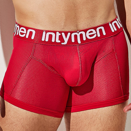 Intymen ING081 Luxury Trunk Boxer